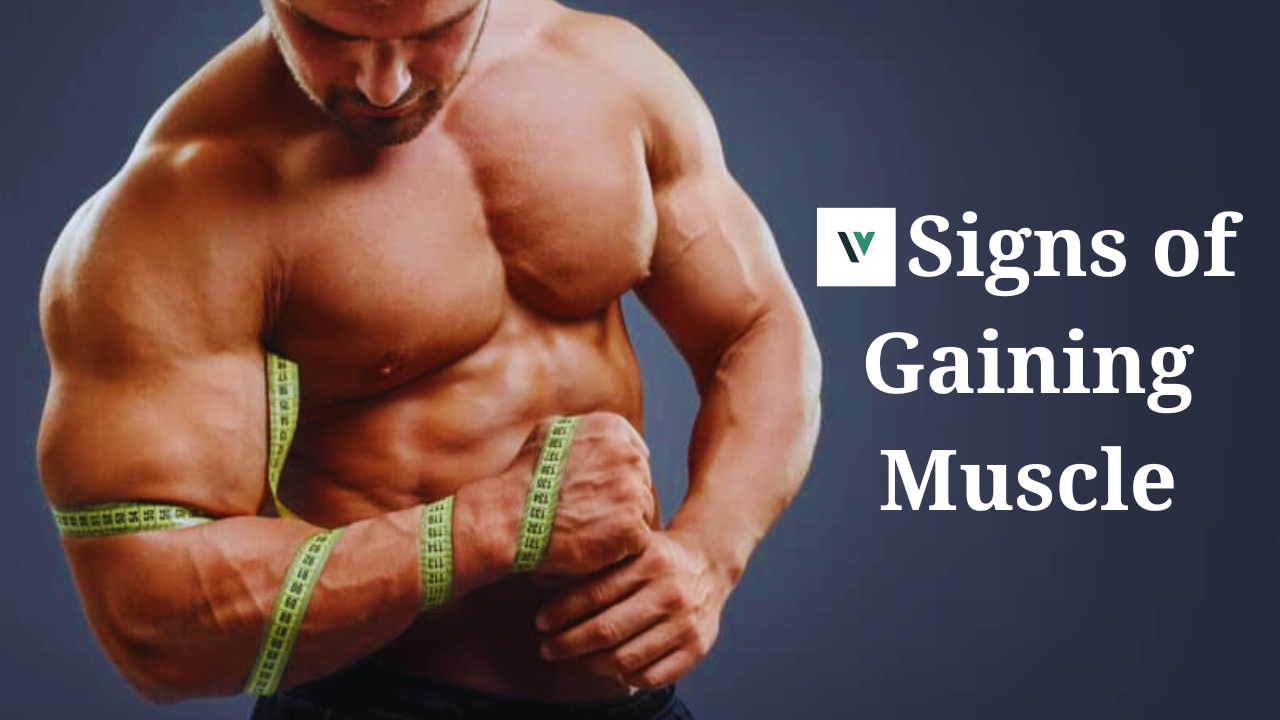 Signs of Gaining Muscle