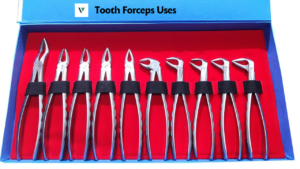 Tooth Forceps Uses